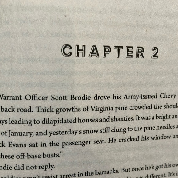 Book: The Maze by Nelson DeMille - Picture 10 of 10